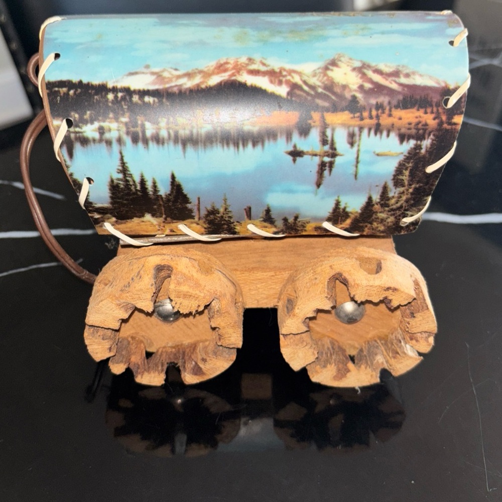 Mid century Covered Wagon TV lamp made out of cactus cholla wood. Never used
